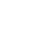 strideIconWhite 2